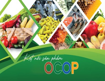Sản phẩm OCOP