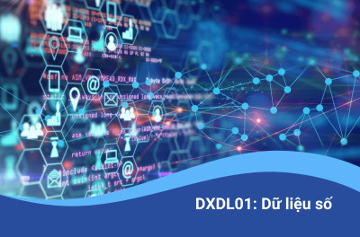 DXDL01: Dữ liệu số
